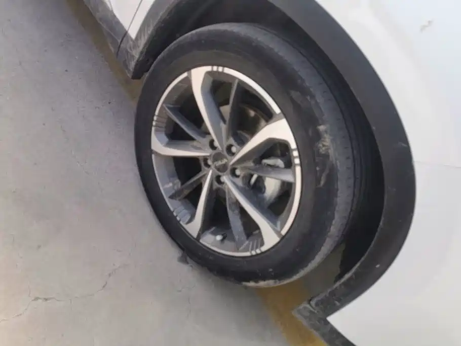 Dongfeng Aeolus Haohan 2024 2023 1.5T Luxury Edition