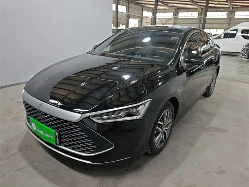 BYD Qin PLUS 2023 Champion Edition DM-i 55KM Surpassing