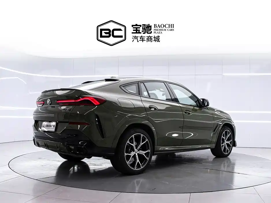 صورة 3 - BMW X6