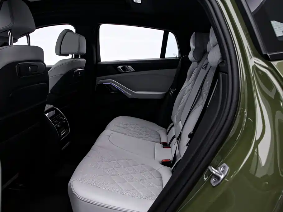 صورة 16 - BMW X6