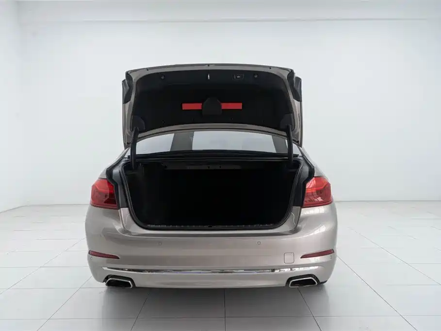 BMW 5 Series 2020 525Li Luxury Package фото 27