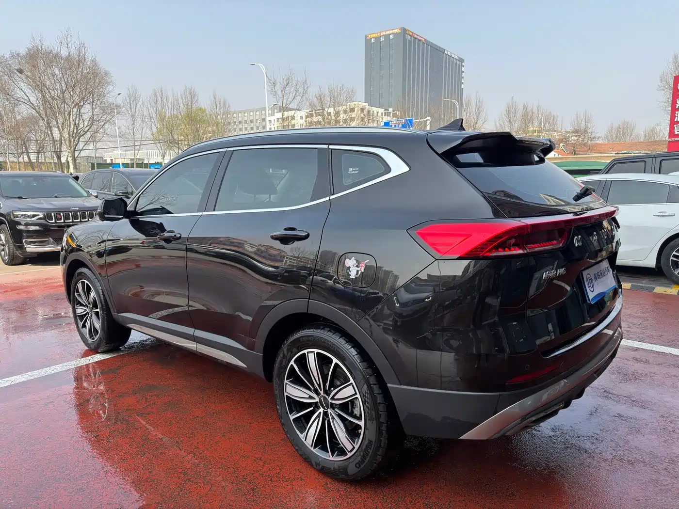 Haval H6 2023 National Trend Edition 1.5T Automatic Champion фото 4