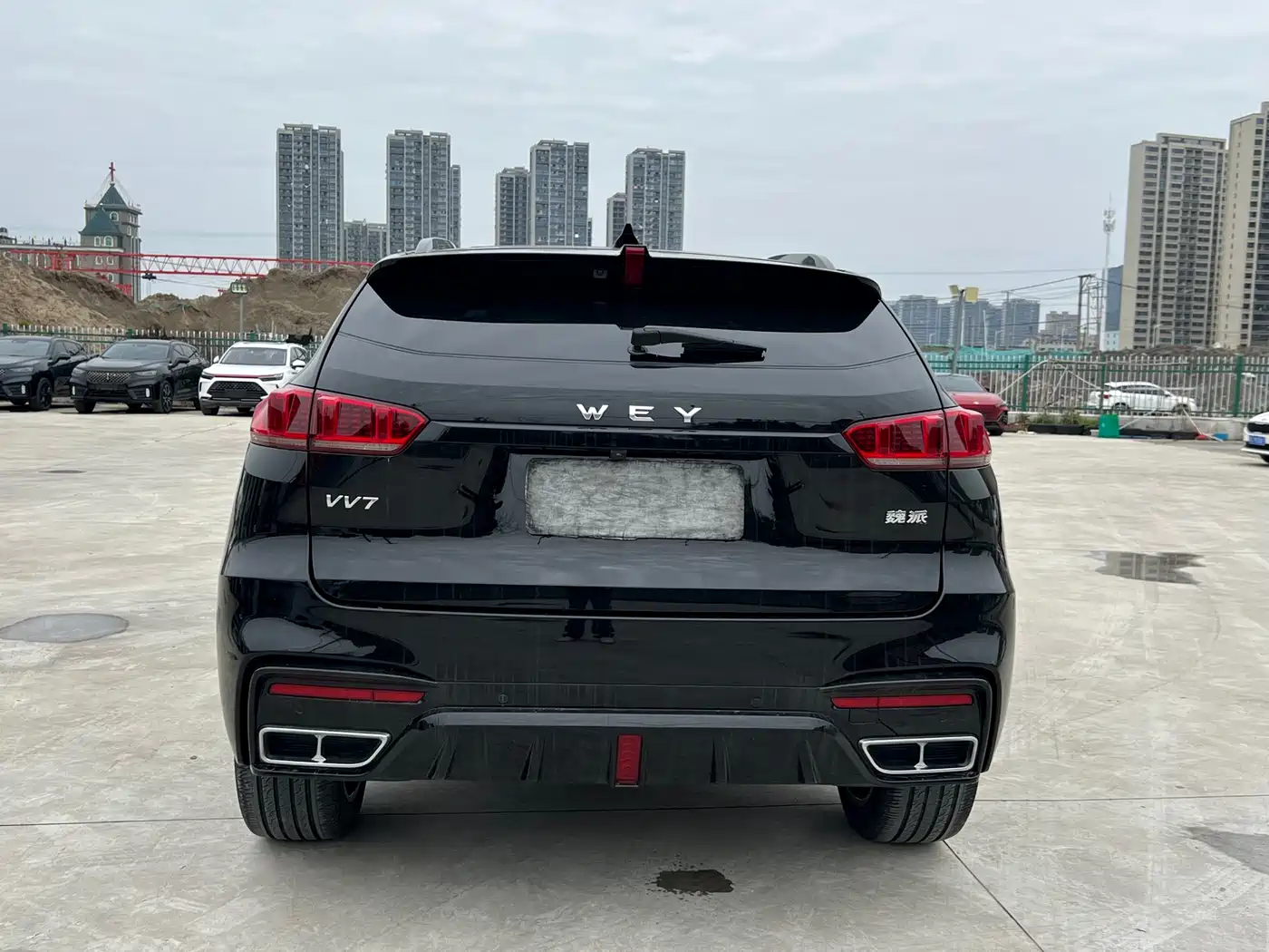 WEI PAI WEI BRAND VV7