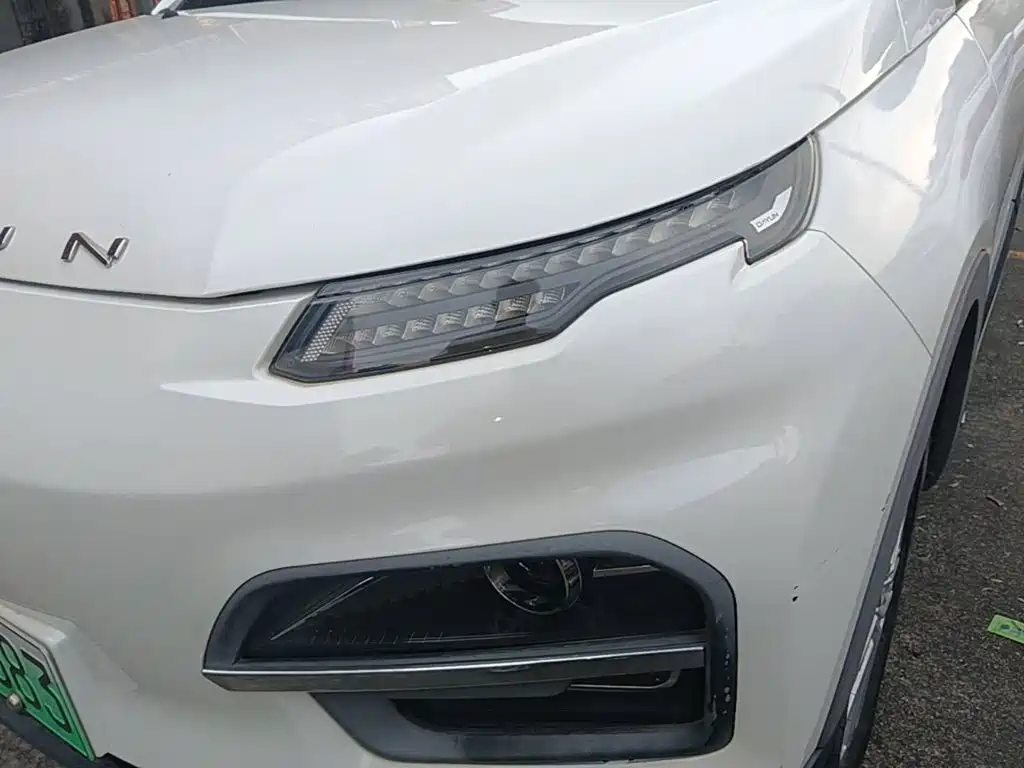 Dayun Yuehu 2022 2022 30.66kWh 2WD Standard Edition
