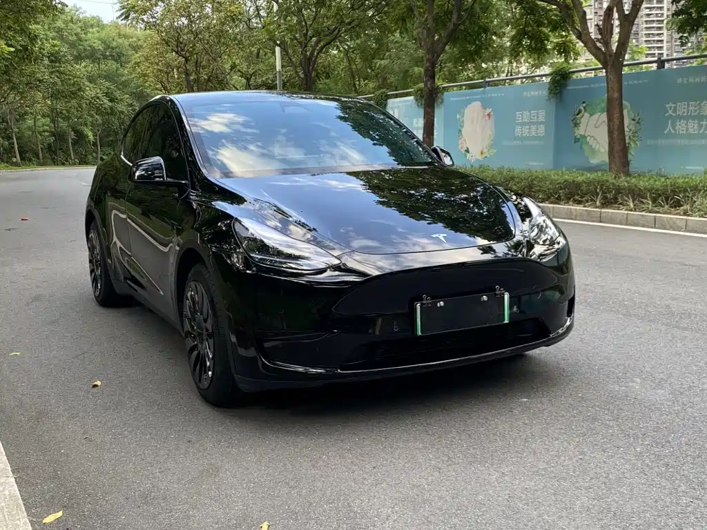 Фото 5 - Tesla Model Y