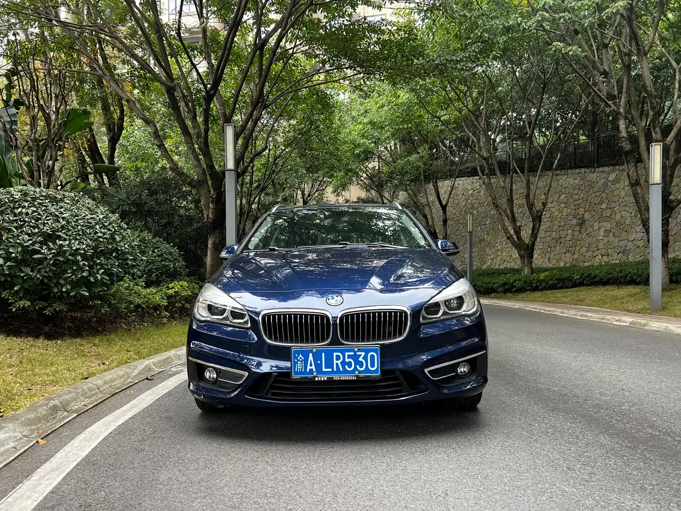 BMW 2 Series Tourer (Import) 2014 220i Luxury Design Package фото 2