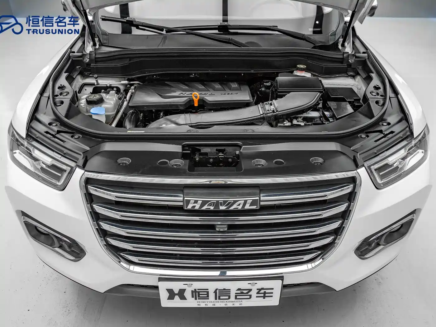 Haval H6 2020 1.5GDIT Automatic Platinum Luxury Edition фото 20