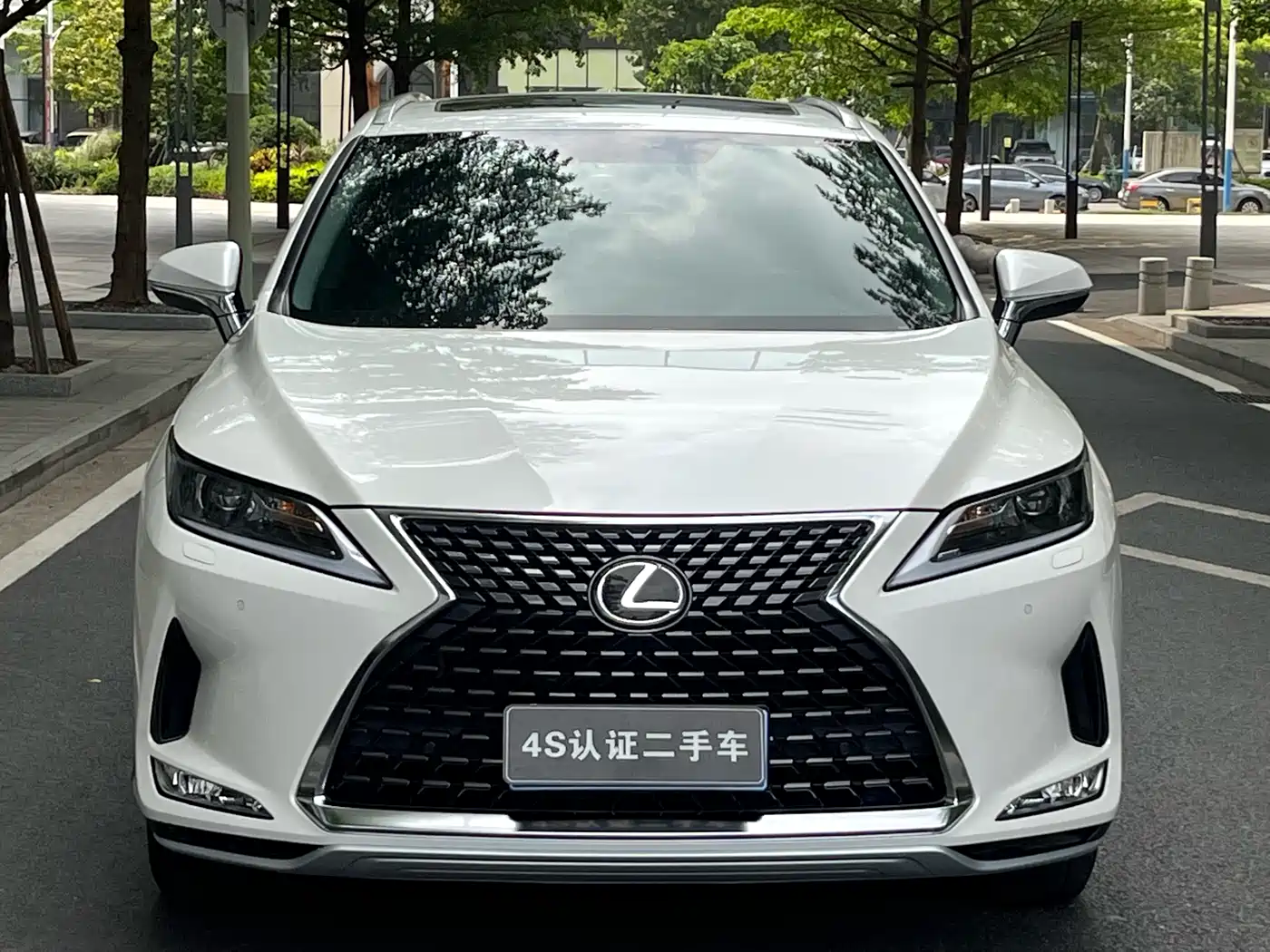 LEXUS RX