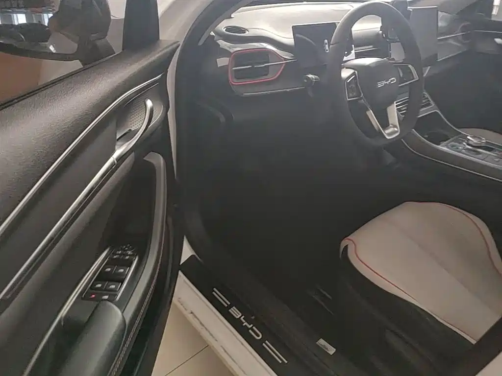 BYD Destroyer 05 2023 Champion Edition DM-i 55KM Luxury фото 15