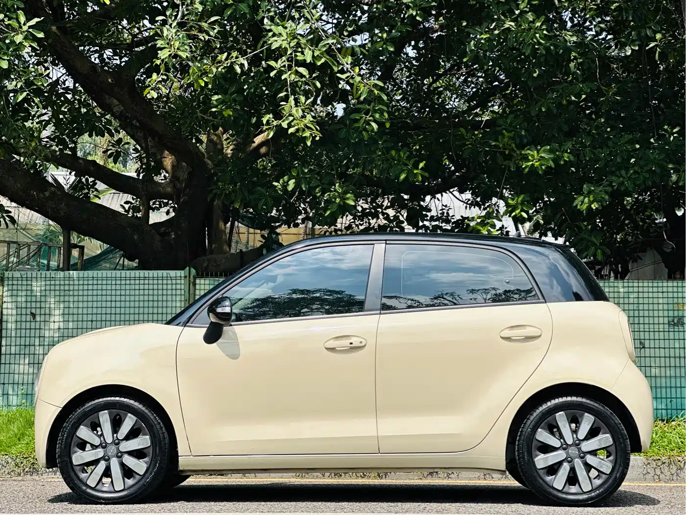 Ora Black Cat 2019 2019 351km Goddess Edition