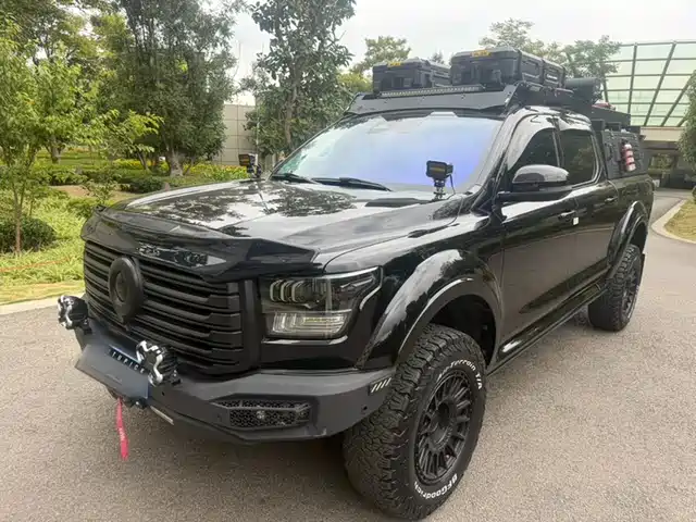 Great Wall Shanhai Poer 2.4T 柴油极享版