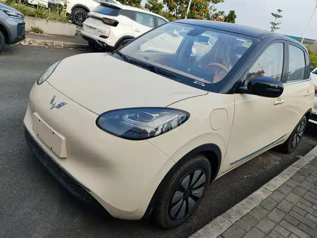 WULING WULING BINGGUO