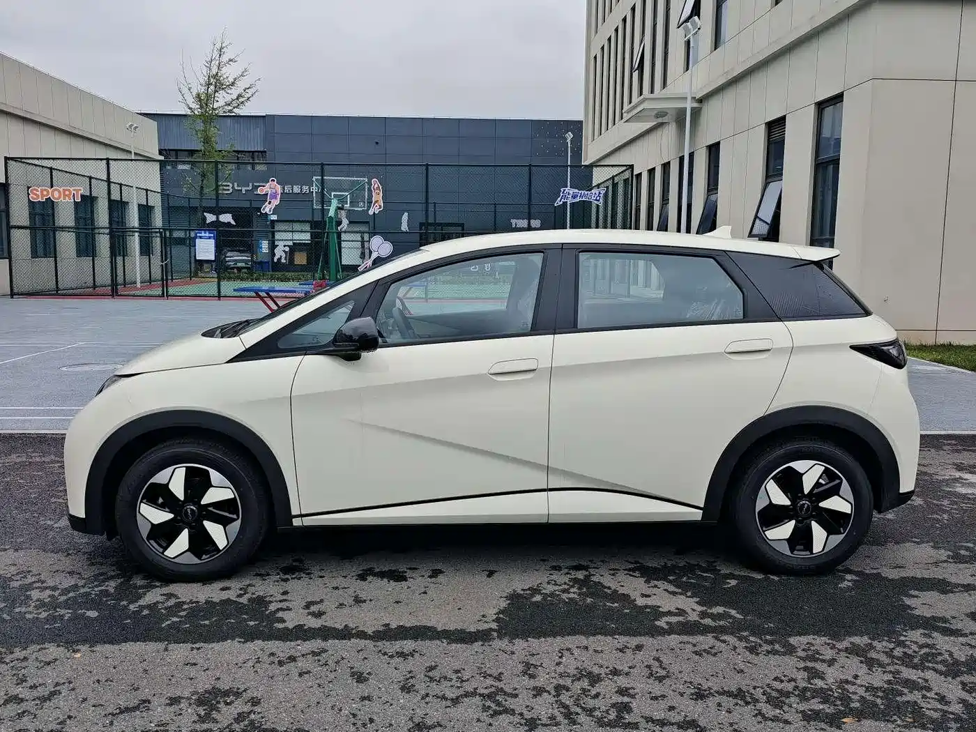 BYD Dolphin 2026 2025 420km Freedom Edition