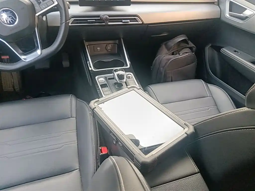 BYD Qin New Energy 2019 Long Range Luxury Edition фото 14