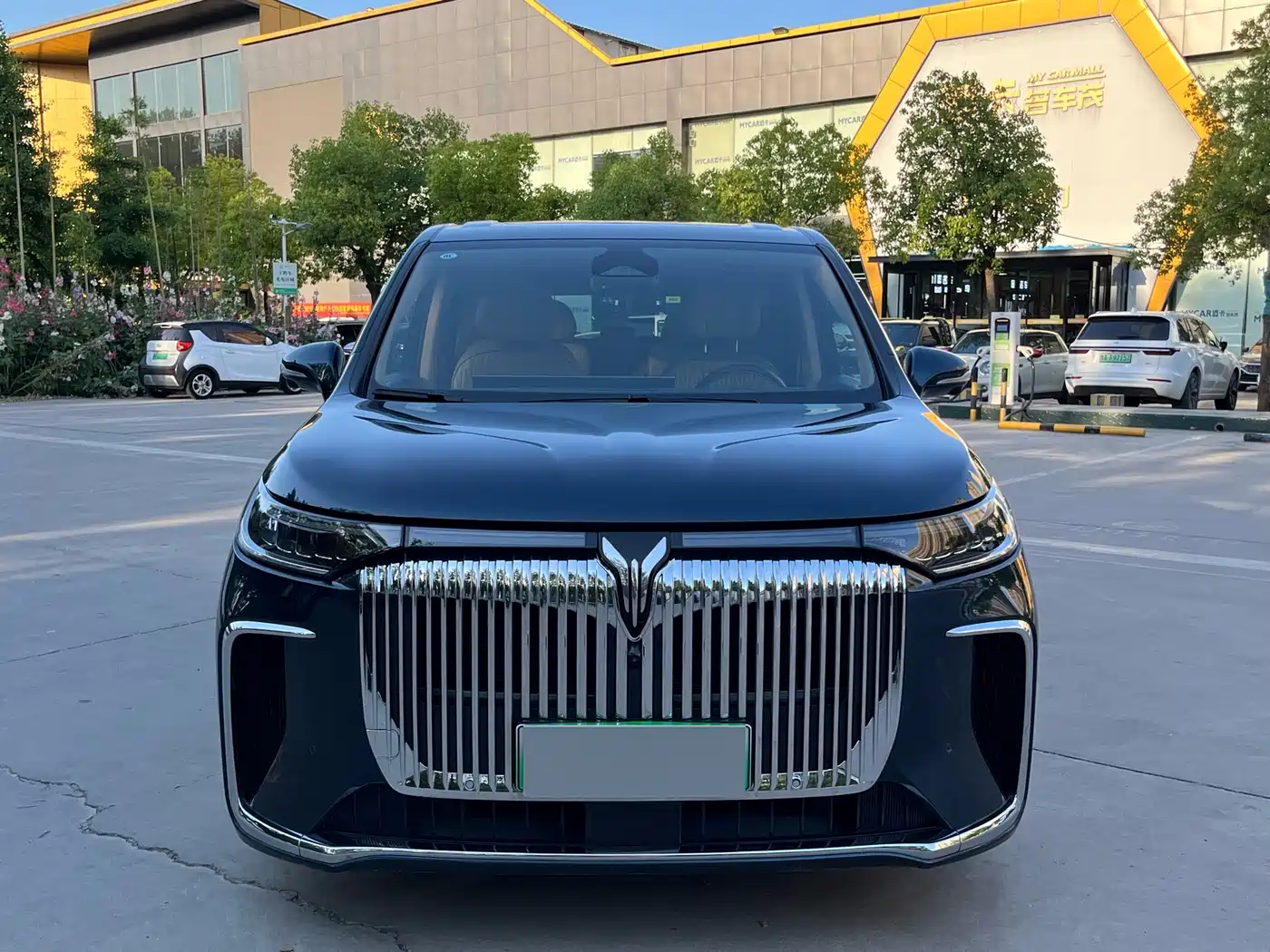 Voyah Auto Voyah Dreamer 2025 PHEV AWD Flagship Kunpeng Edition фото 2