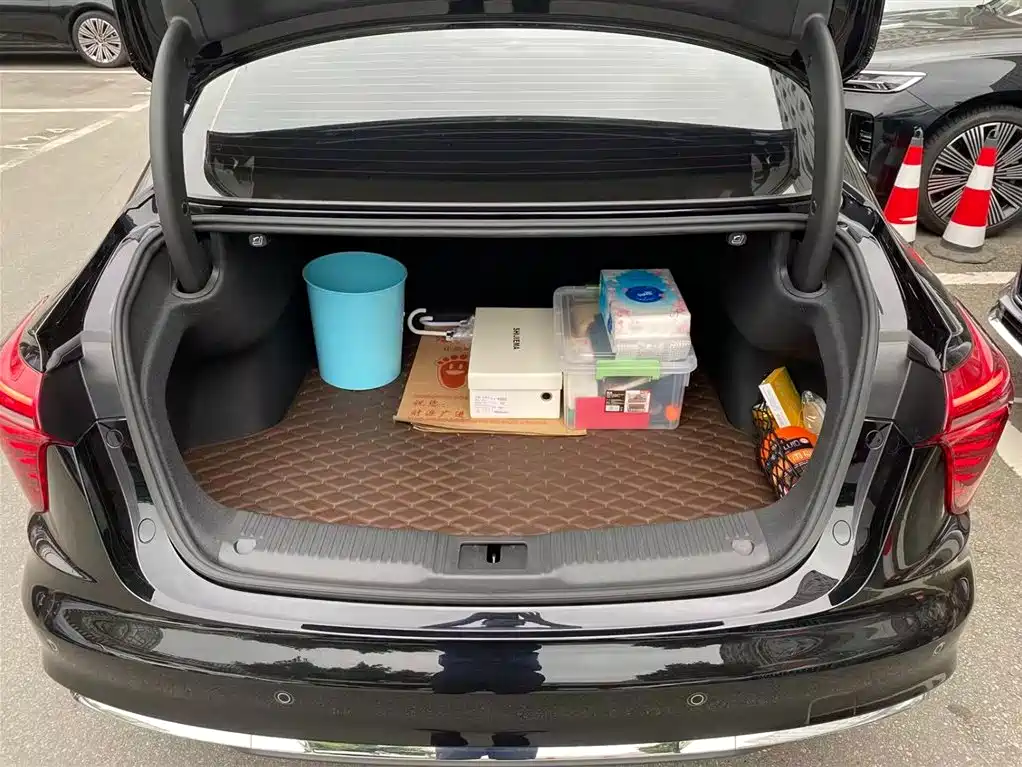 Hongqi H5 2023 2.0T Auto Smart Connect Flag Comfort фото 20