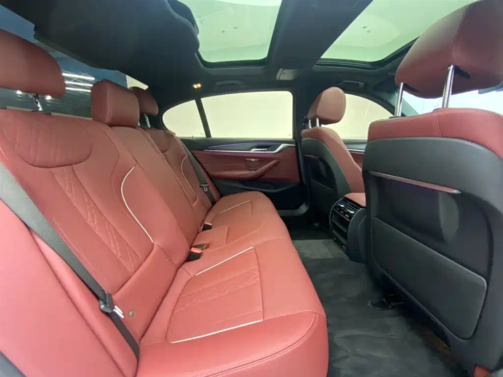 BMW 5 Series 2021 530Li Leading M Sport Package фото 24