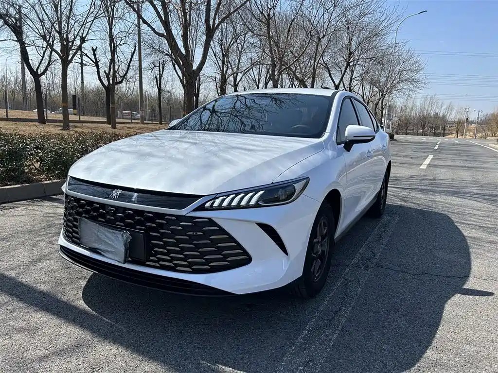 BYD Qin PLUS 2026 DM-i 128KM Progressive