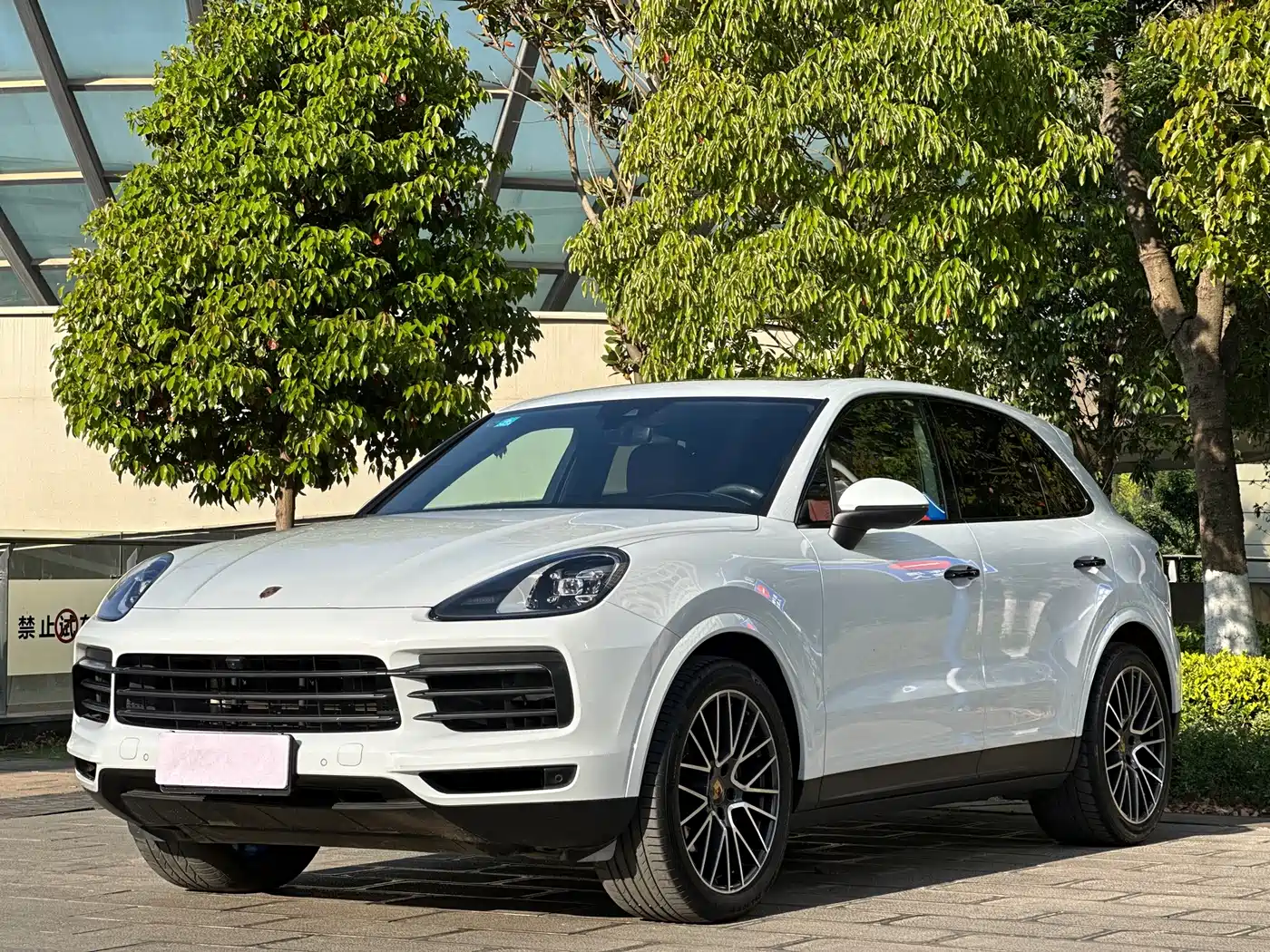 Porsche Cayenne 2023 Cayenne 3.0T Platinum Edition