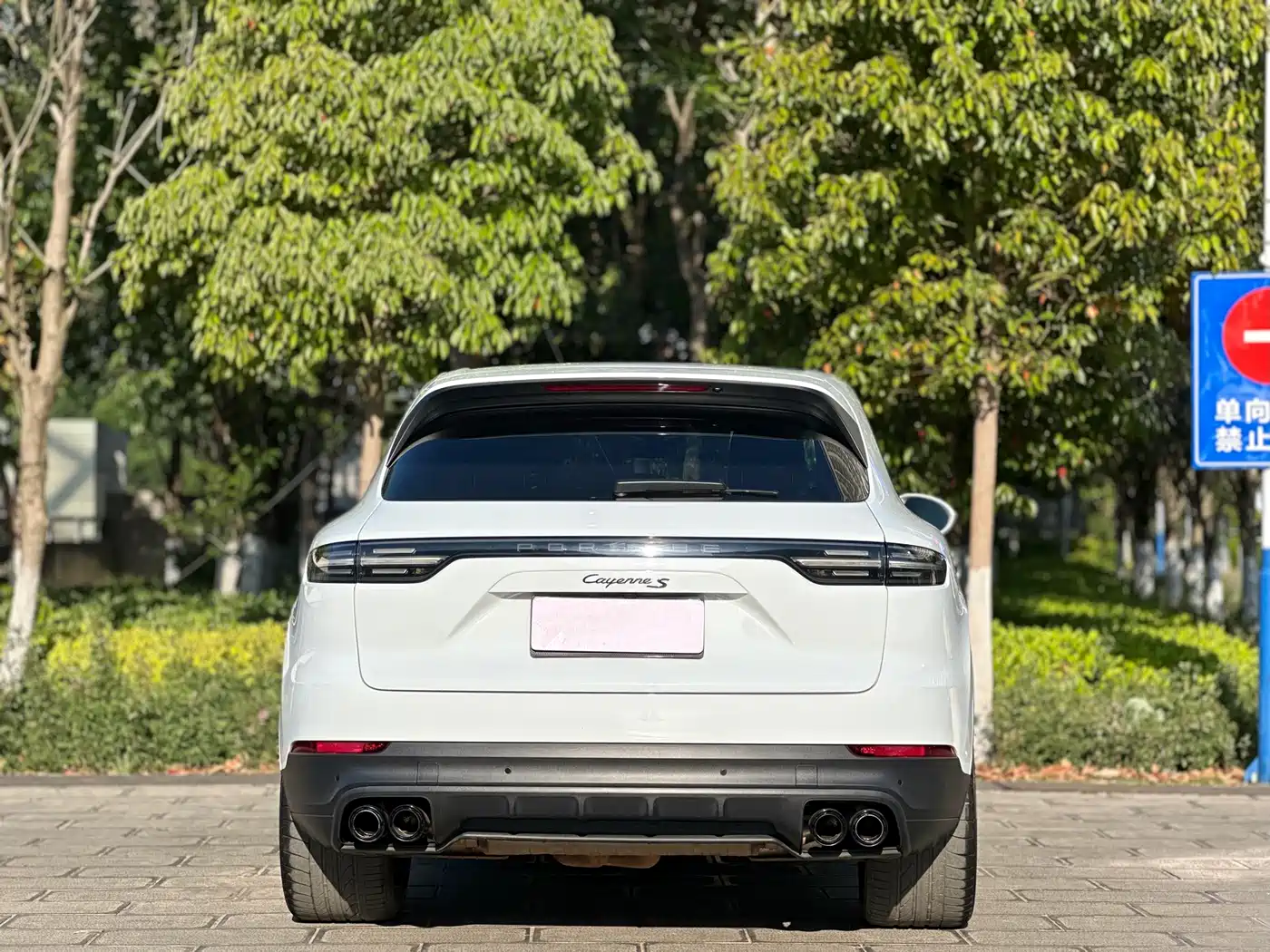 Porsche Cayenne 2023 Cayenne 3.0T Platinum Edition фото 5