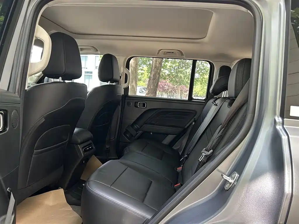 Haval Meng Long NEV 2024 Hi4 102 Pro фото 12