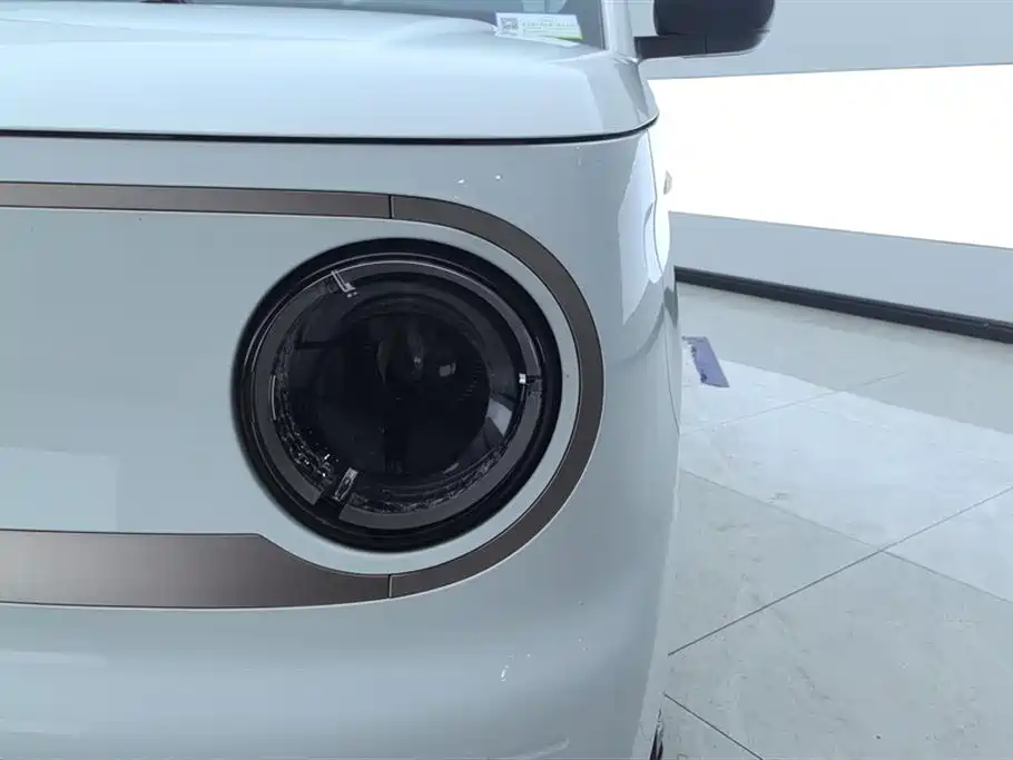 Geely Galaxy Panda 2023 Panda Mini 200km Endurance Bear фото 5
