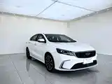 Фото 3 - Geely Binrui