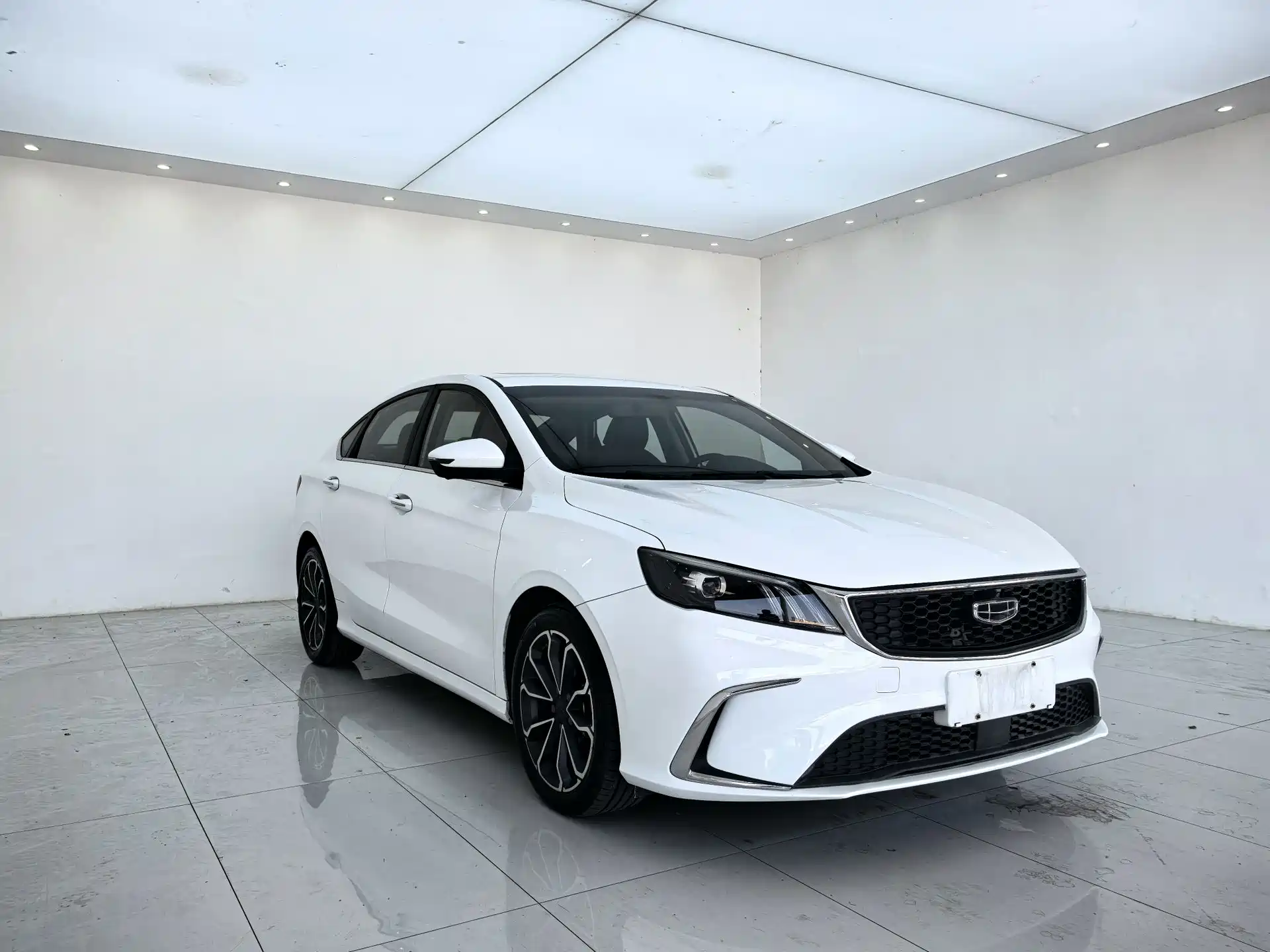 Фото 3 - Geely Binrui