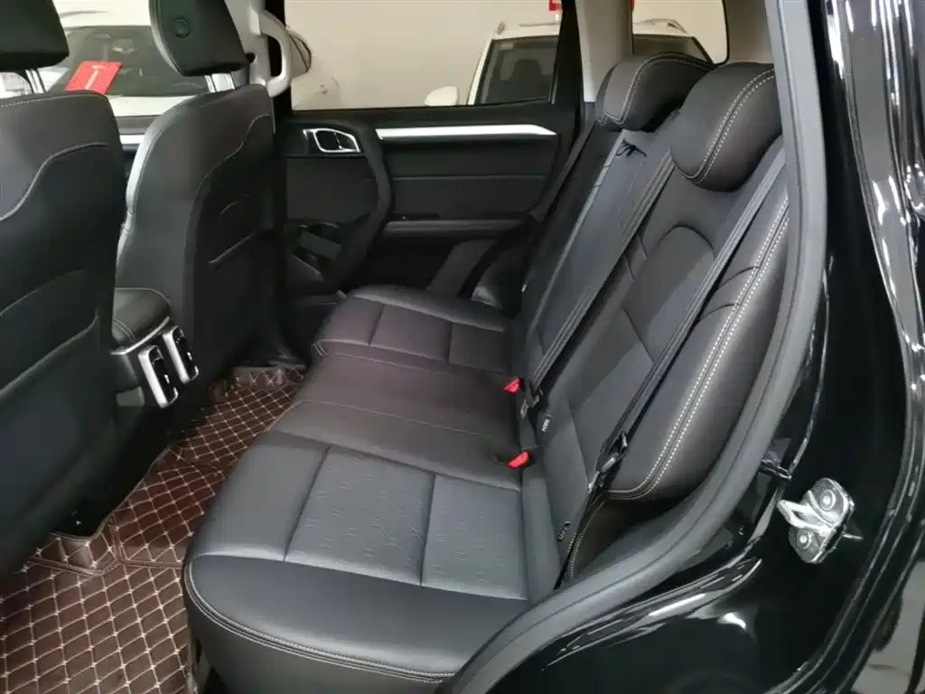 Haval Big Dog 2022 1.5T DCT FWD Border Collie Edition фото 17