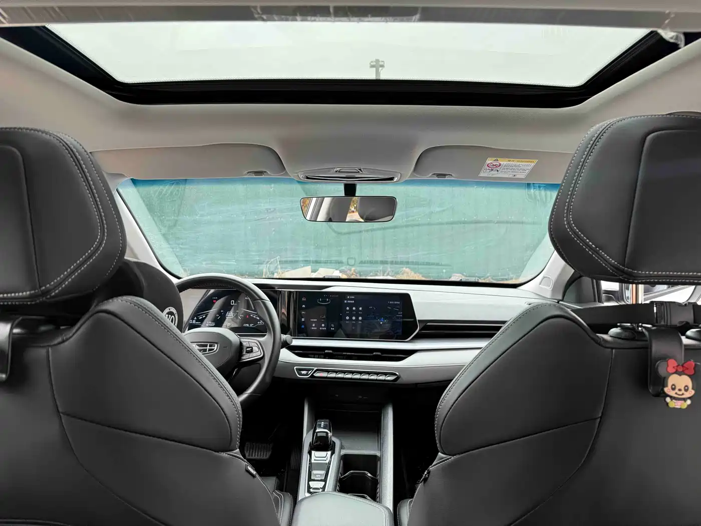 GEELY AUTOMOBILE BINRUI