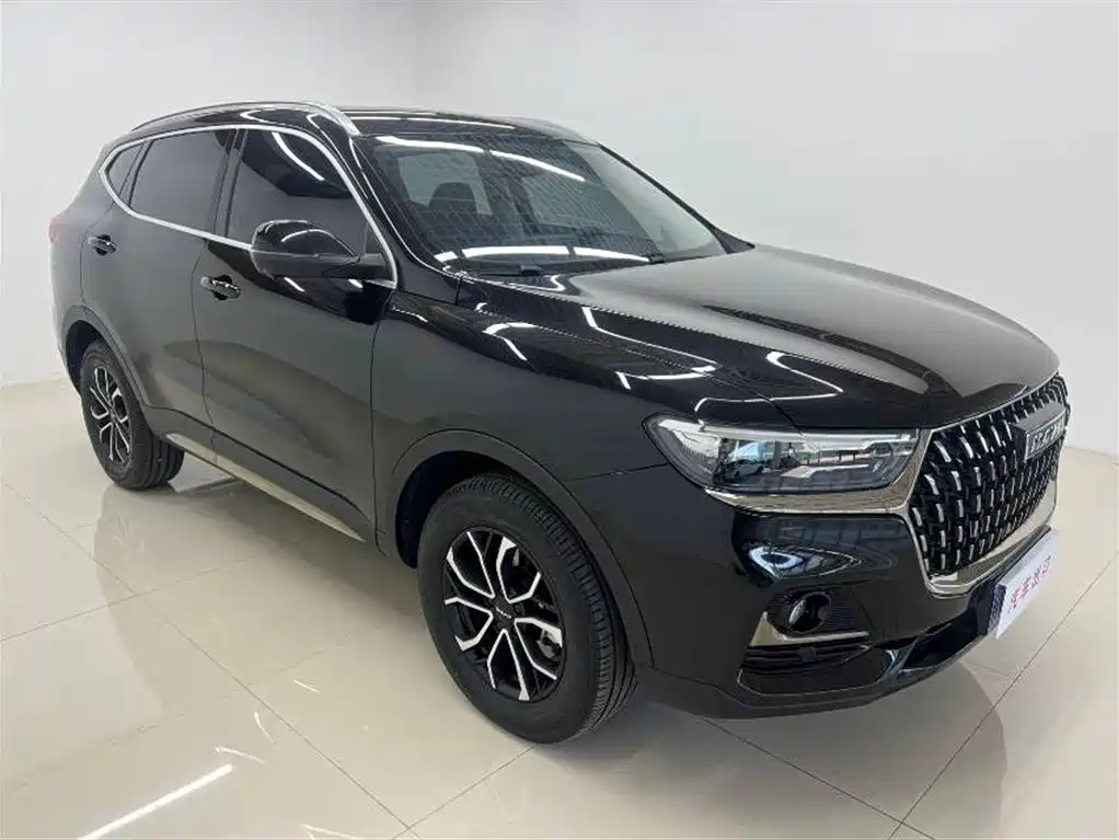 Haval H6 2023 National Trend Edition 1.5T Automatic Urban фото 3