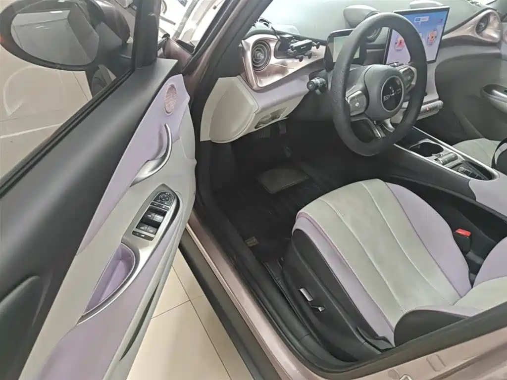 BYD Dolphin 2023 420km Fashion Edition фото 16