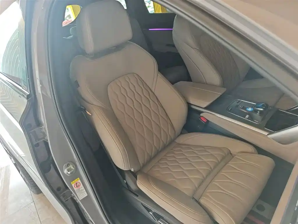 BYD Tang New Energy 2025 Smart Driving Edition DM-i 115KM Flagship фото 25