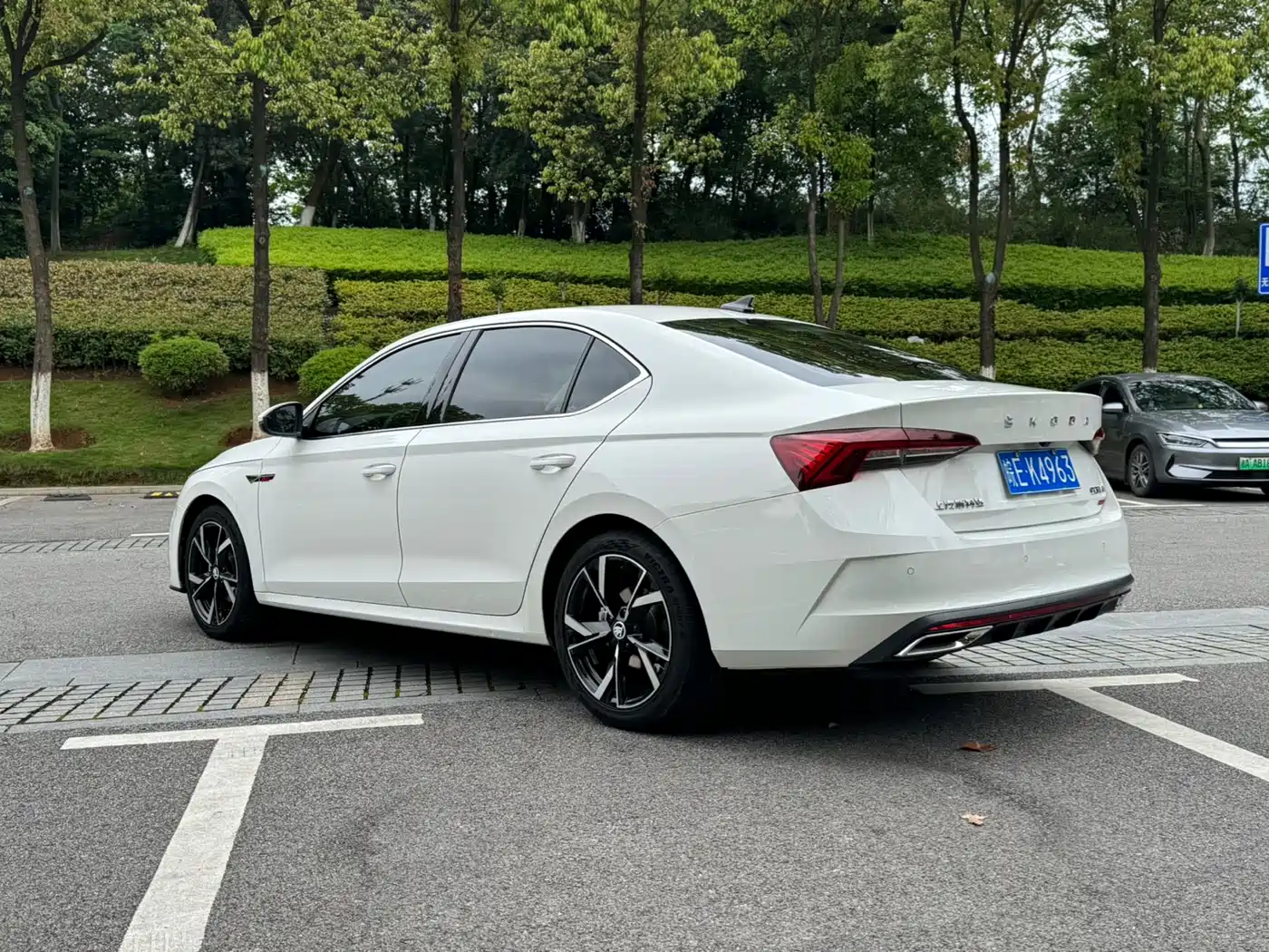 Škoda Octavia 2021 PRO TSI280 DSG Premium Edition фото 5