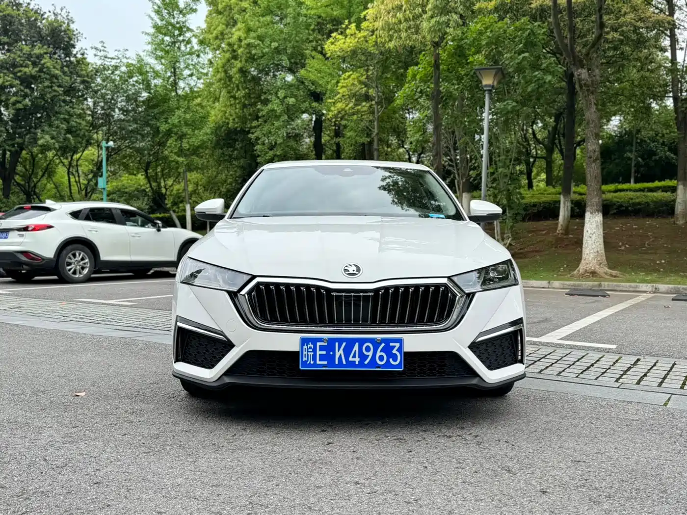 Škoda Octavia 2021 PRO TSI280 DSG Premium Edition фото 2