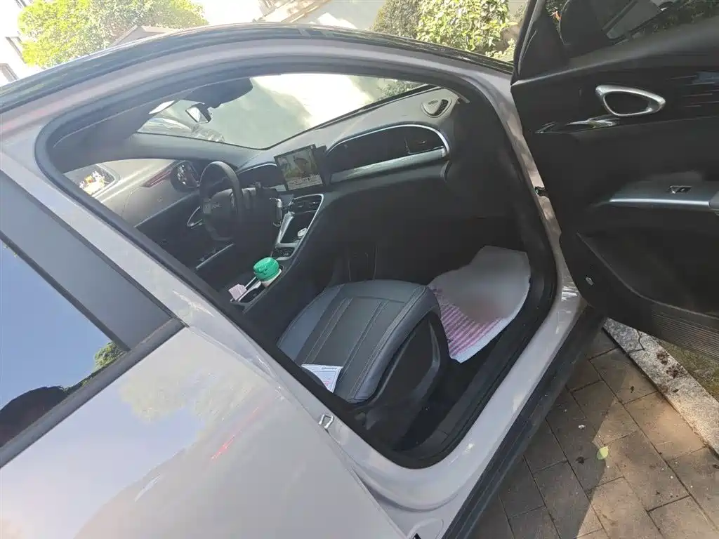 Geely Galaxy Starry Wish 2026 Edition 310km Youth Version фото 20