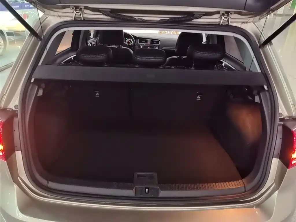 Volkswagen Golf 2017 1.6L Auto Comfort Millionth Edition фото 19