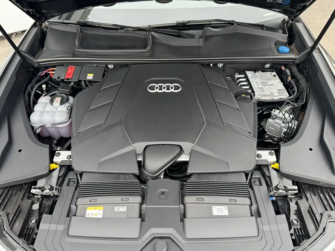 Audi Q8 2025 2024 55 TFSI Luxury Sport