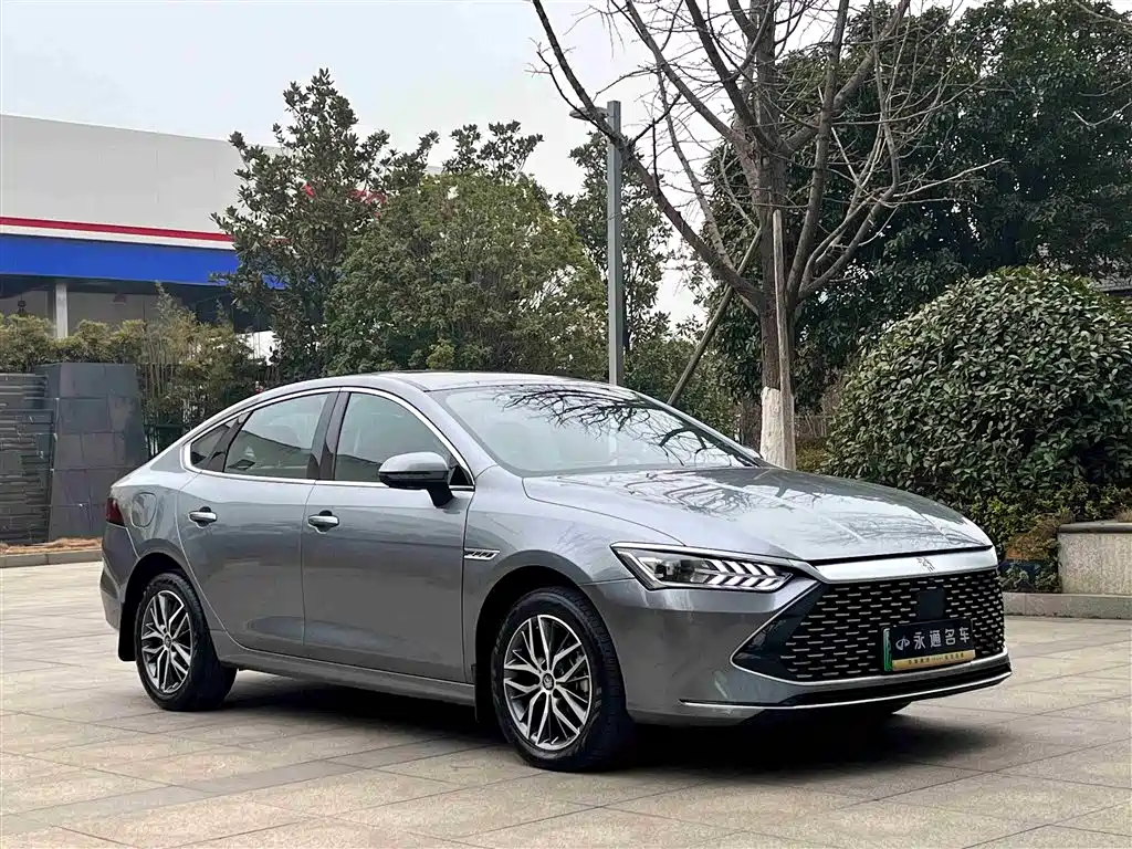 BYD Qin PLUS 2024 Glory Edition DM-i 120KM Premium фото 3