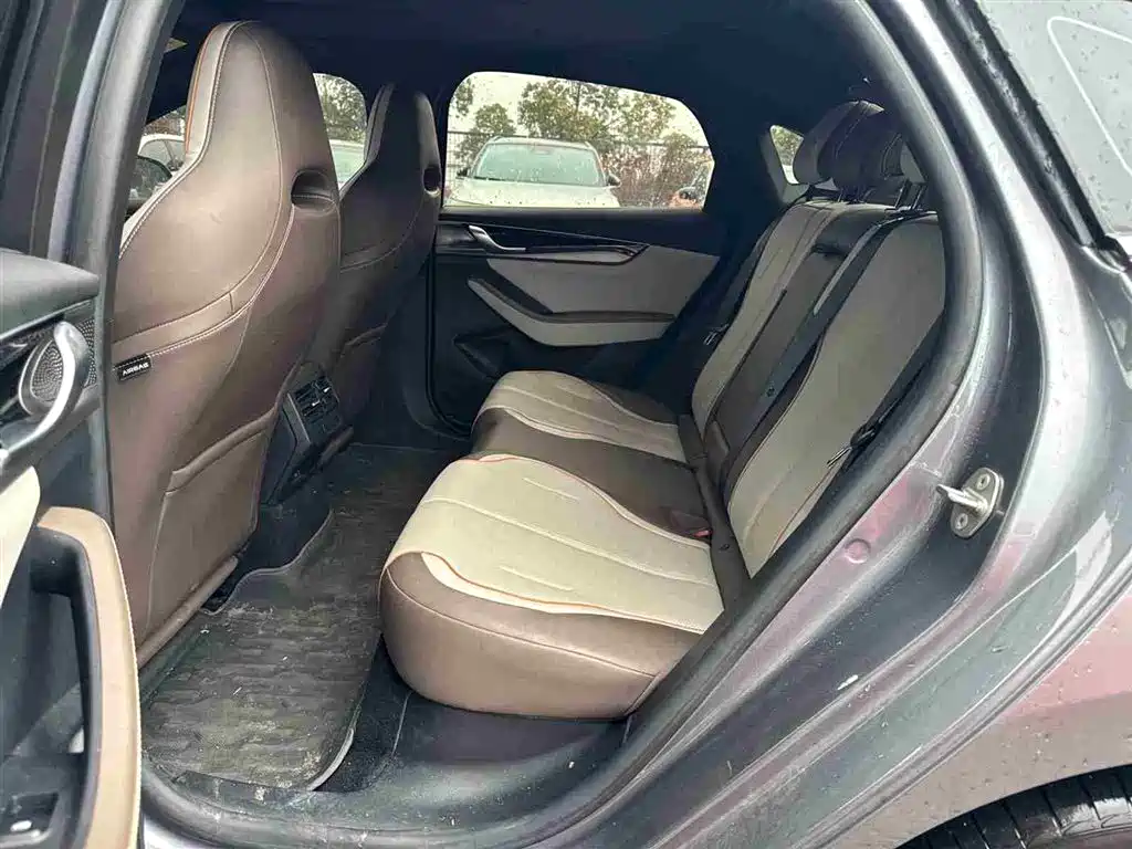 BYD Qin PLUS 2024 Glory Edition DM-i 120KM Premium фото 6