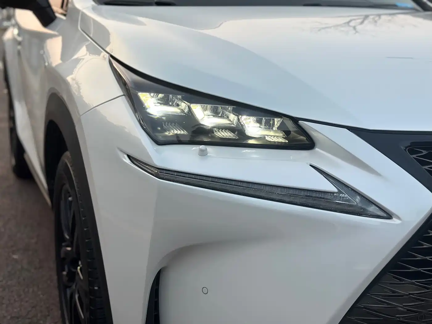 LEXUS NX