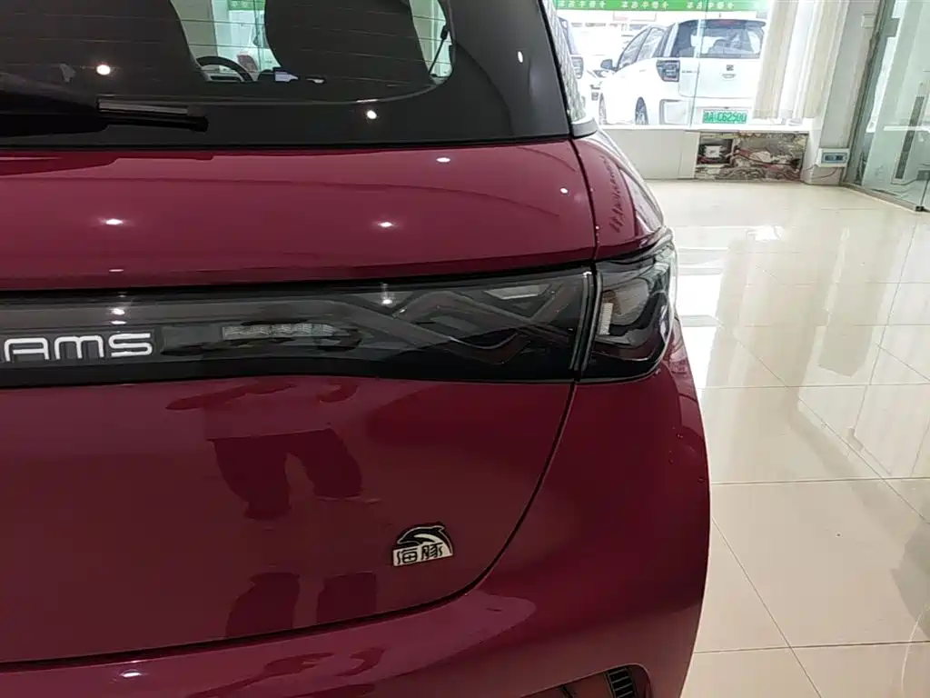 BYD Dolphin 2023 420km Fashion Edition фото 8