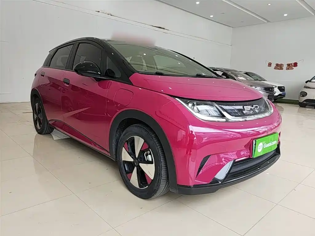 BYD Dolphin 2023 420km Fashion Edition фото 4