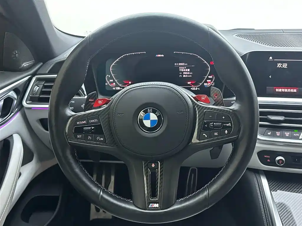BMW M4 2022 M4 Convertible M xDrive Thunder Edition фото 19