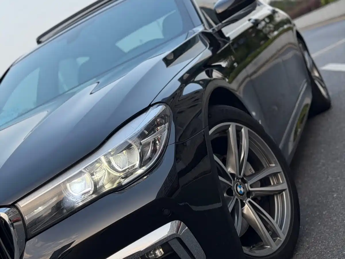 BMW 7 Series 2018 730Li Leading Type M Sport Package фото 13