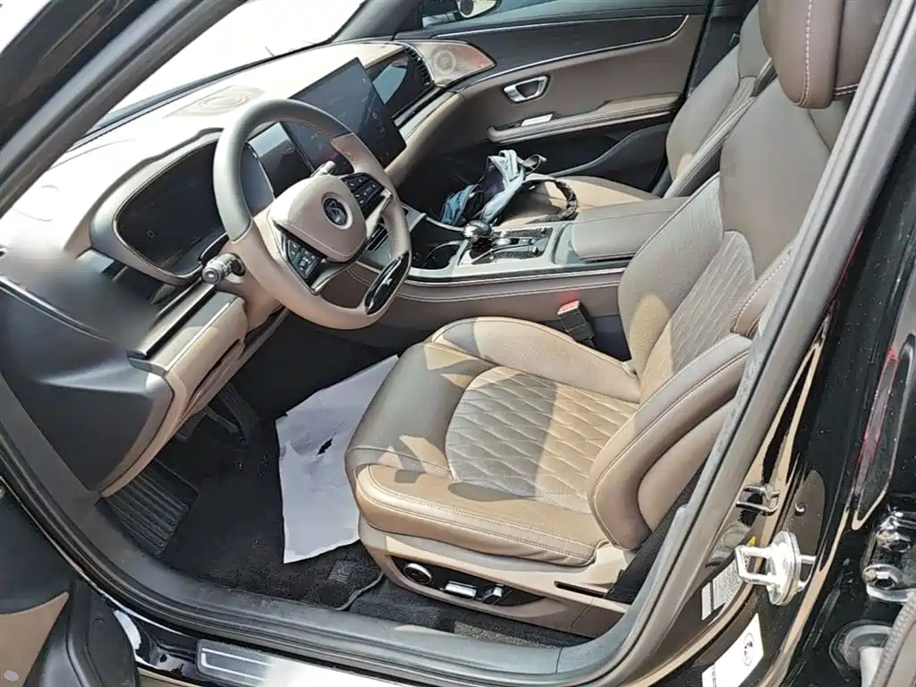 BYD Han 2020 EV Extended Range Premium фото 15