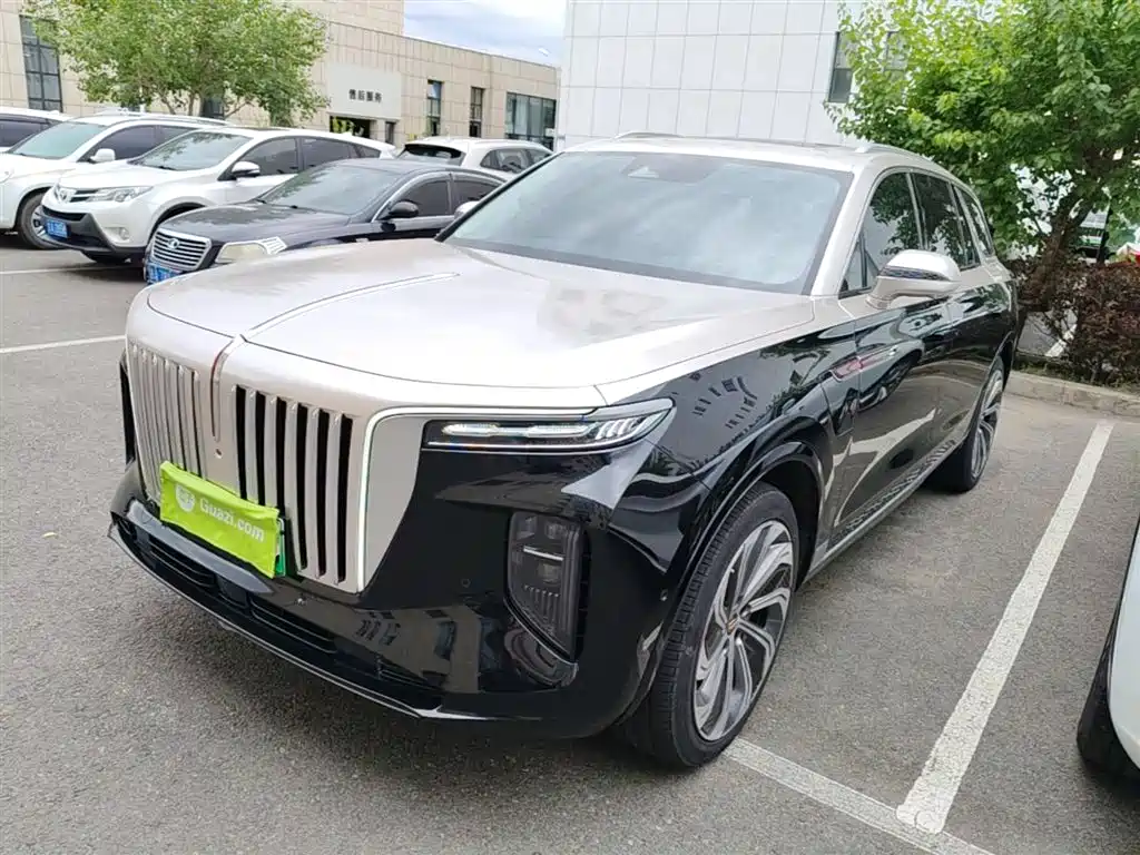 Hongqi E-HS9 2022 660km Qi Ling Edition (4-seater) фото 3