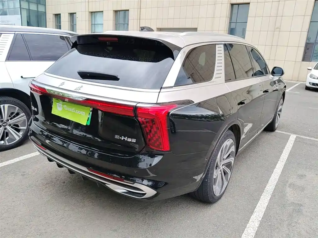 Hongqi E-HS9 2022 660km Qi Ling Edition (4-seater) фото 12