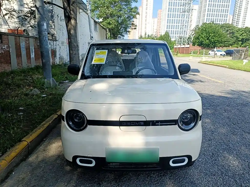 Фото 3 - Geely Galaxy Panda
