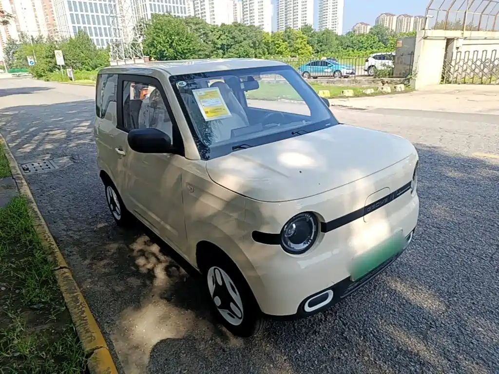 Geely Galaxy Panda 2026 2025 Panda mini 210km Vitality Bear